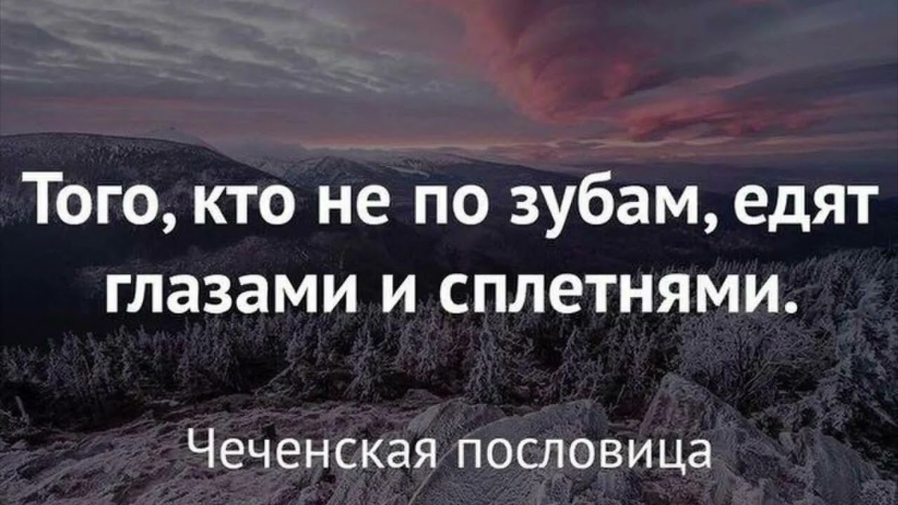 asmr ruscha va uzbekcha aforizmlar