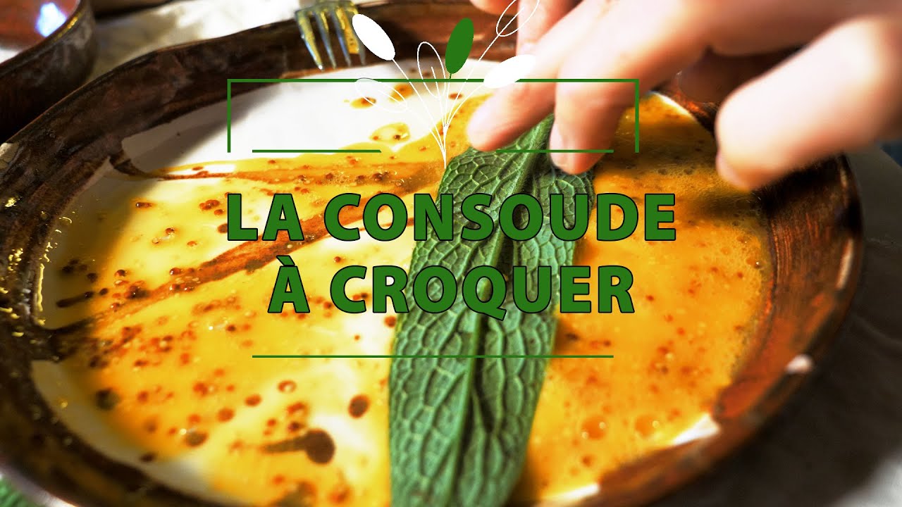 Cuisine sauvage et citoyenne : Épisode 2 - 