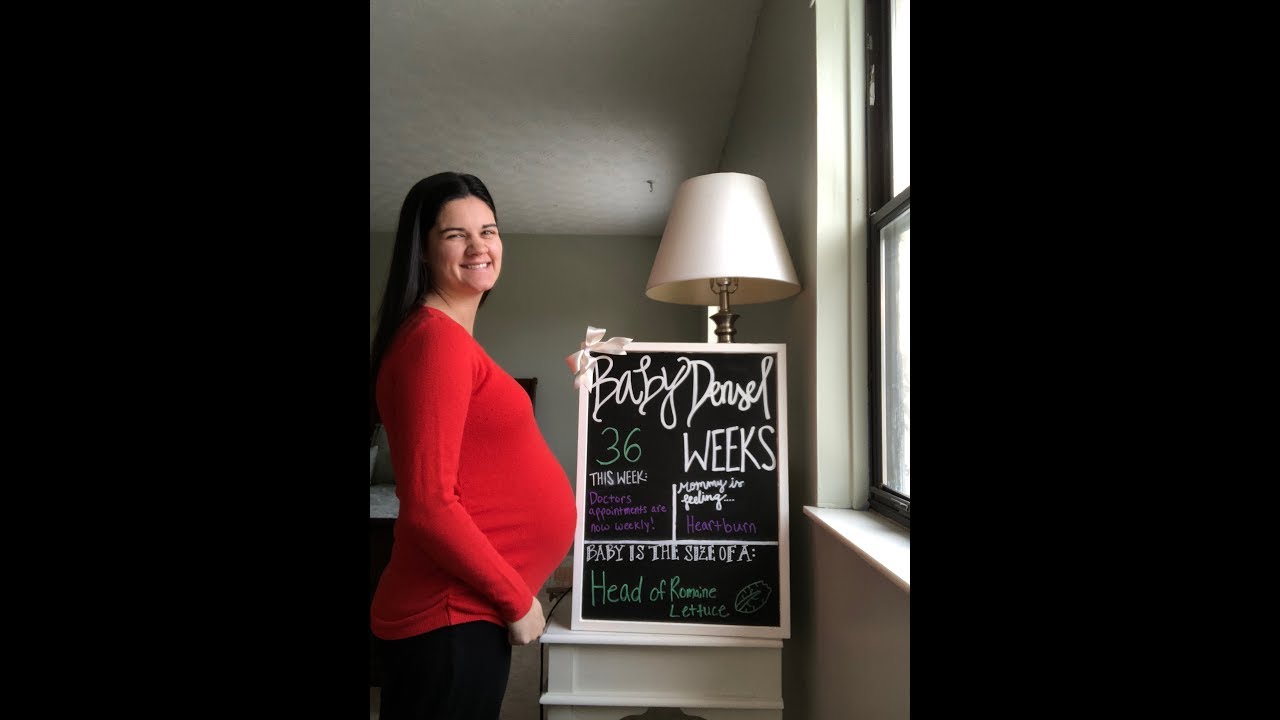 Week 36 Bumpdate!