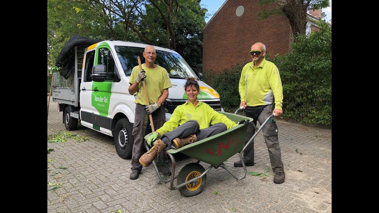 Vrouwen in het groen