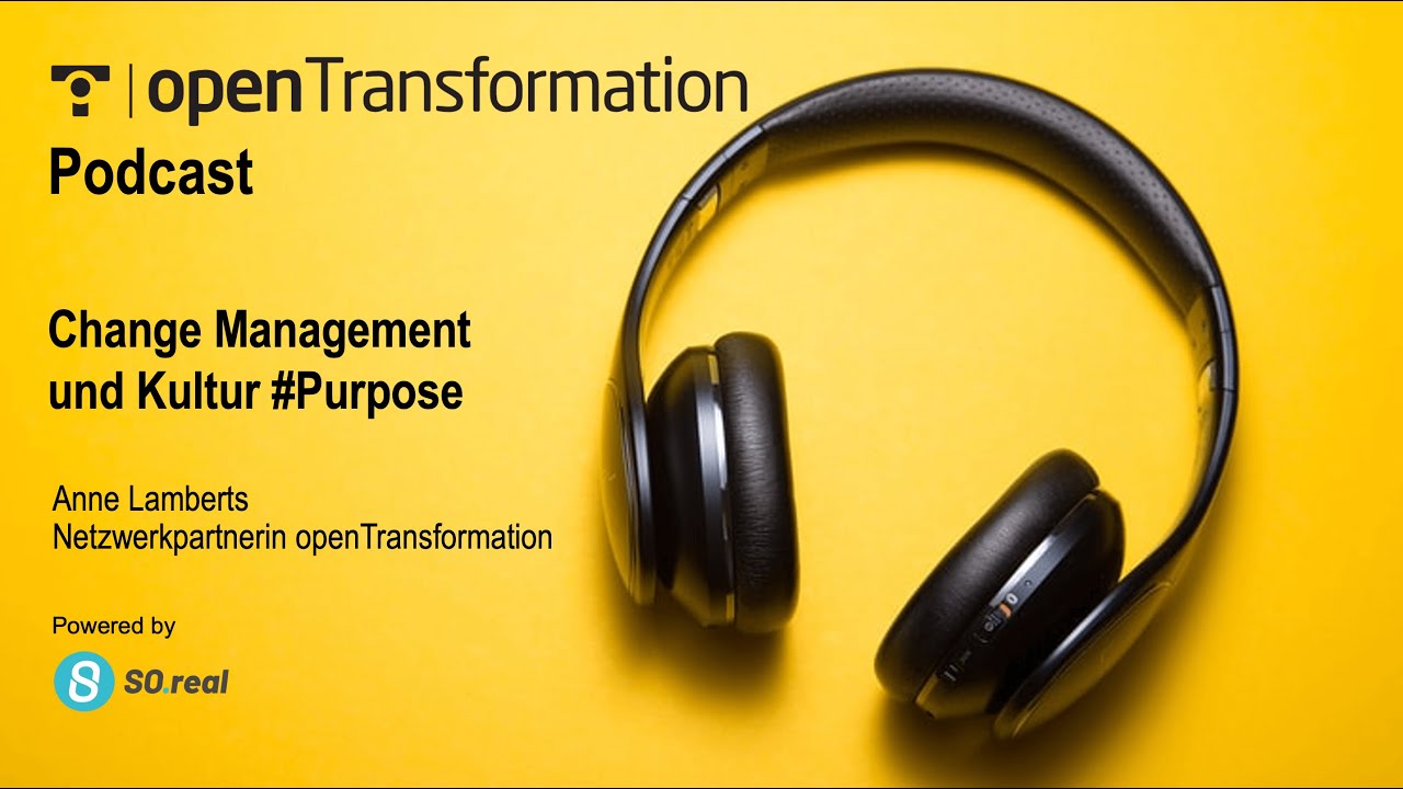 openTransformation Podcast mit Anne Lamberts 