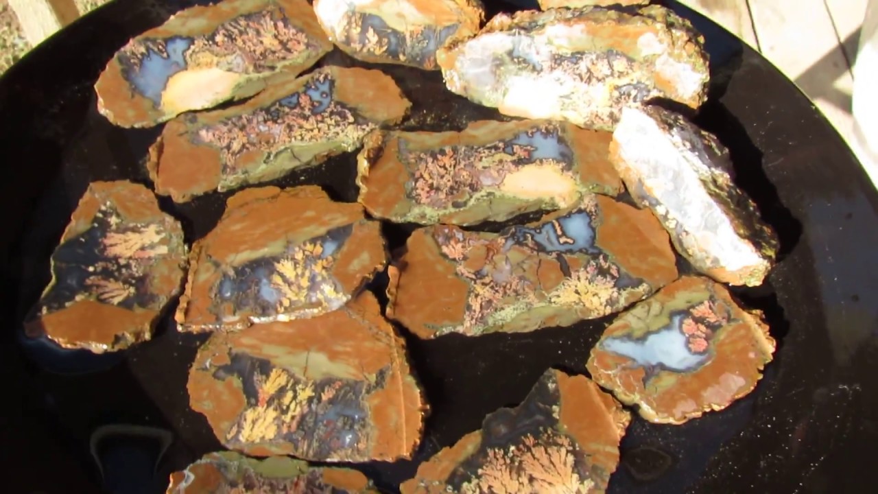Priday Plume Agate High Grade Specimen Showcase: World Class Specimens