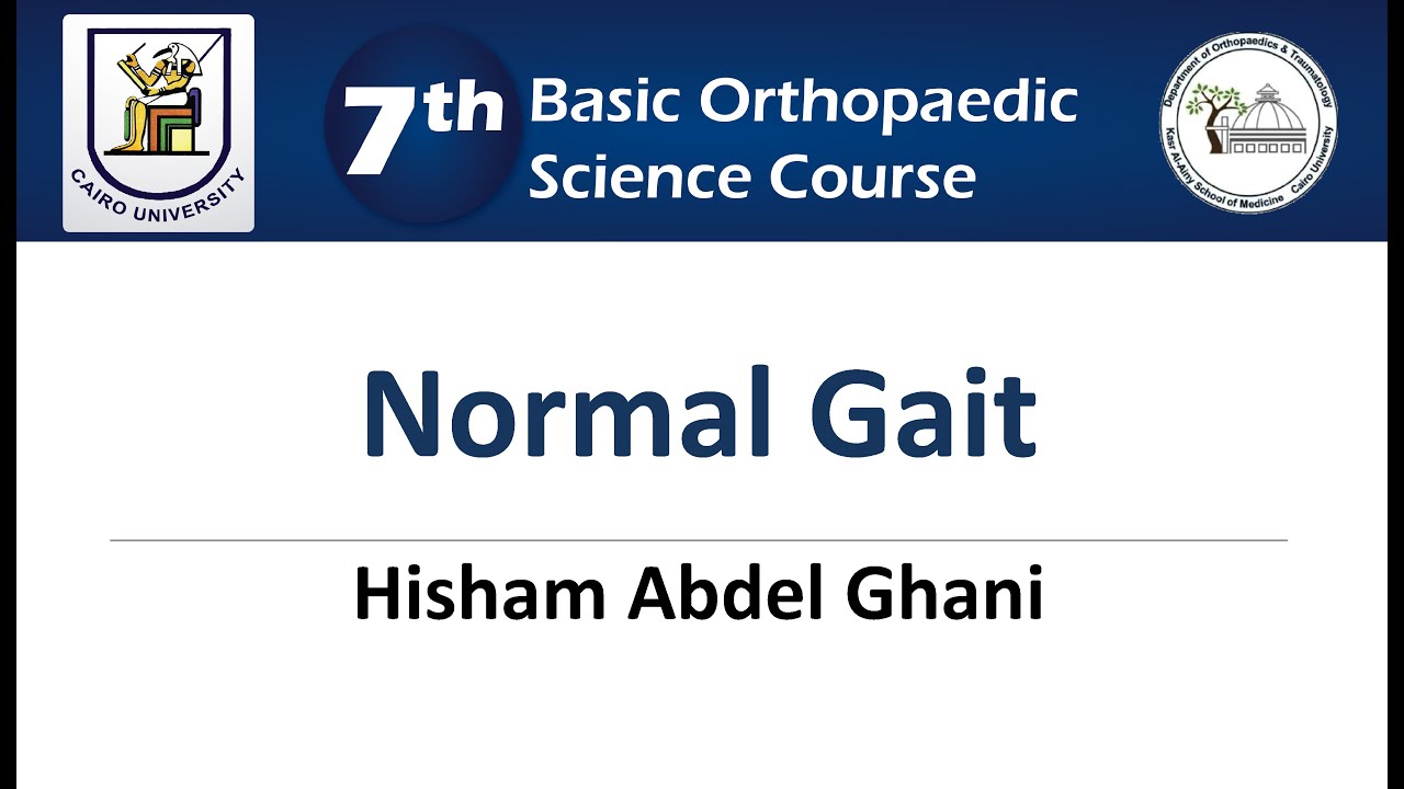 Normal Gait