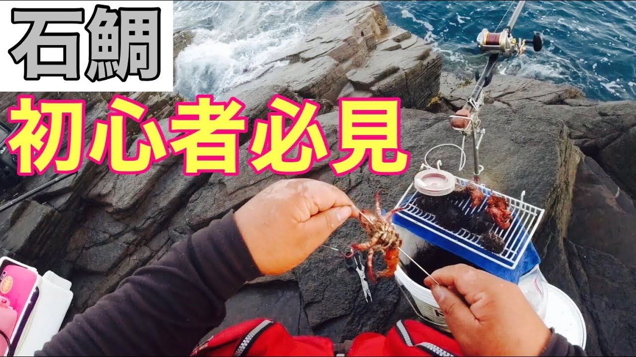 【石鯛】【初心者必見！】サザエ、ガンガゼ、鬼ヤドカリ、バフンウニ、石鯛釣りの様々な付け餌、針の刺し方パターンのご紹介♪ ※底物上級者の方はご視聴をお控え下さい♪@258