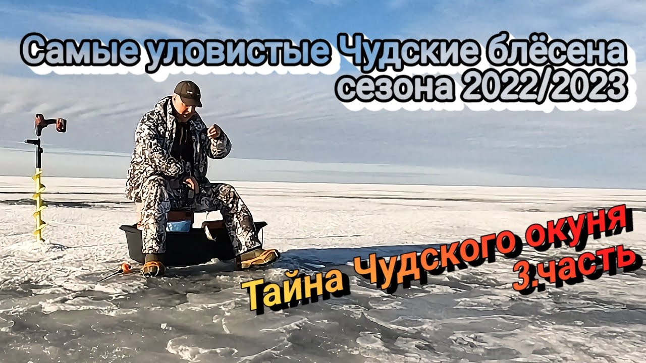 Рассмотрим самые уловистые Чудские блёсена (сикухи) в зимнем сезоне 2022/2023 года.