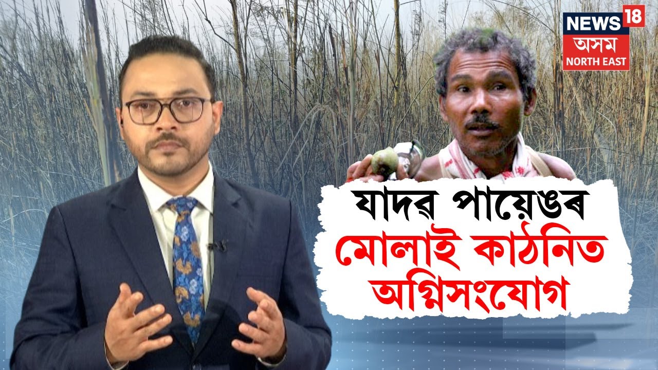 Forest Man of India Jadav Payeng | যাদৱ পায়েঙৰ মোলাই কাঠনিত অগ্নিসংযোগ দুষ্কৃতিকাৰীৰ | N18V |