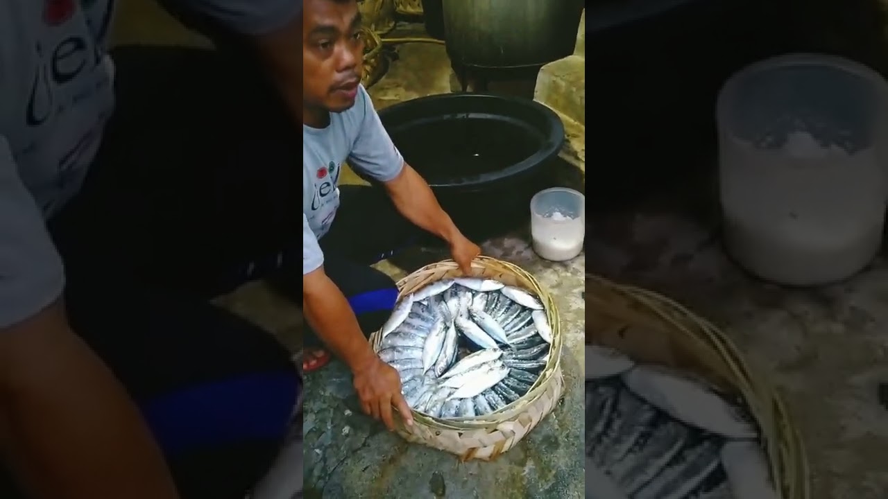 cara pengolahan ikan gembung rebus MEDAN terlengkap.
