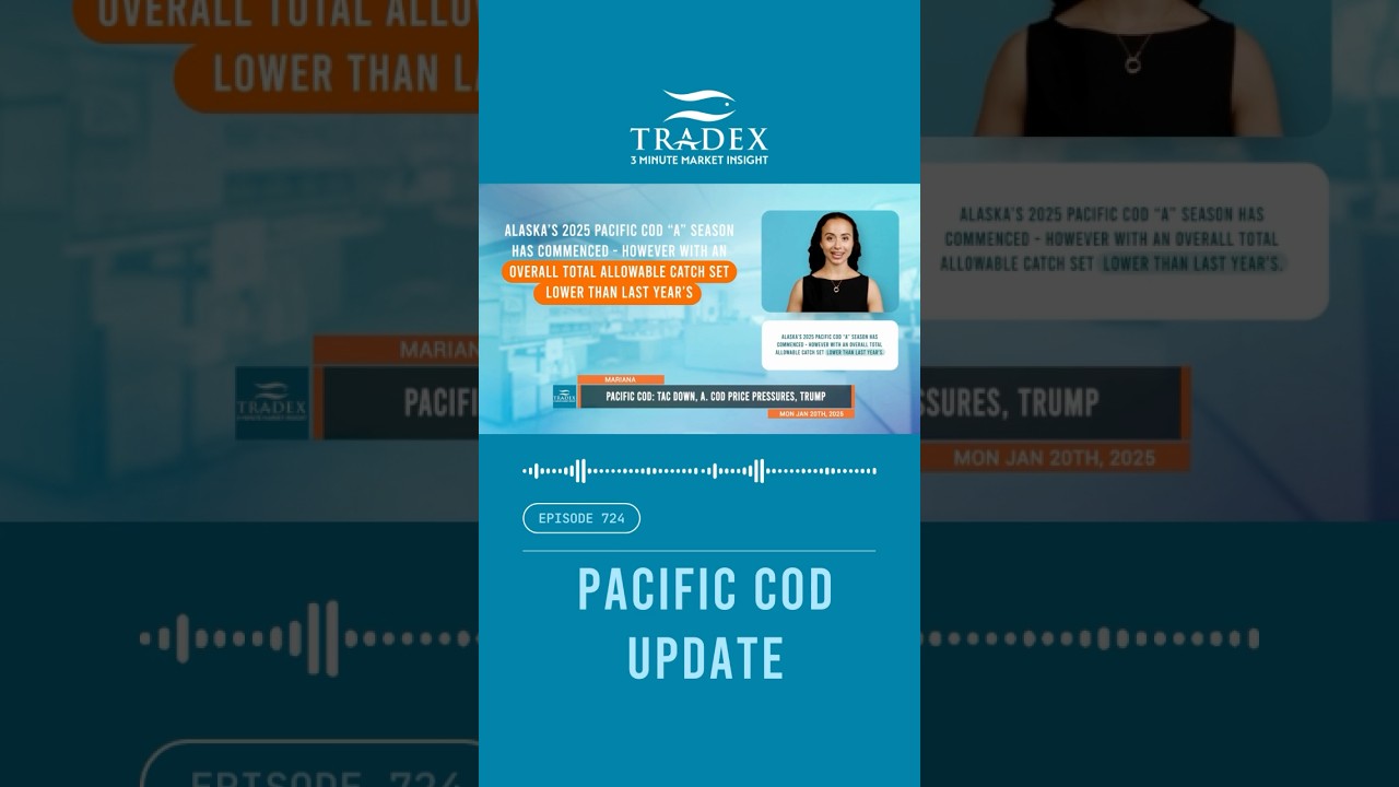 3MMI - PACIFIC COD: TAC DOWN, A. COD PRICE PRESSURES, TRUMP #seafoodindustry #commercialfishing #cod