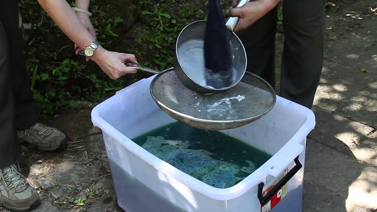 陽明山國家公園_陽明山的藍染