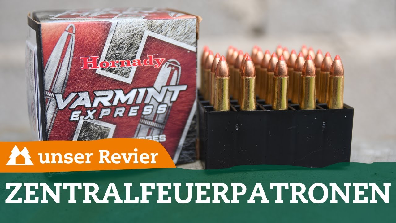Fuchsjagd: Praxistipps zu Zentralfeuerpatronen | Das sind die besten Fuchsjagdkaliber | .223 Rem.