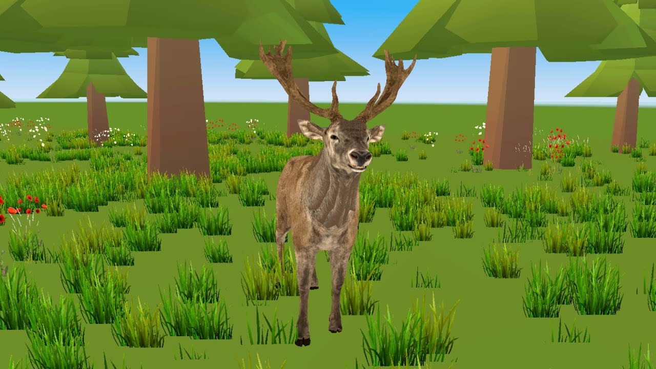 Cute Pets Play VR 🐾🎉