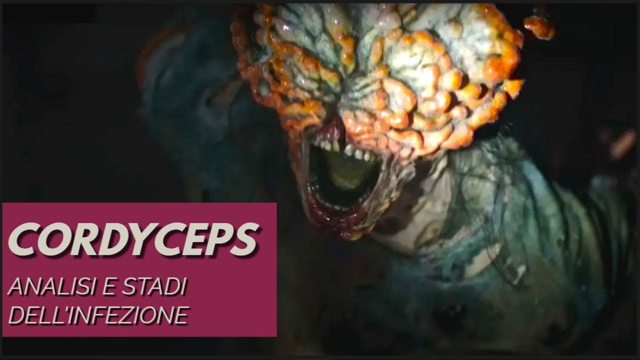 The Last Of Us LORE - IL CORDYCEPS
