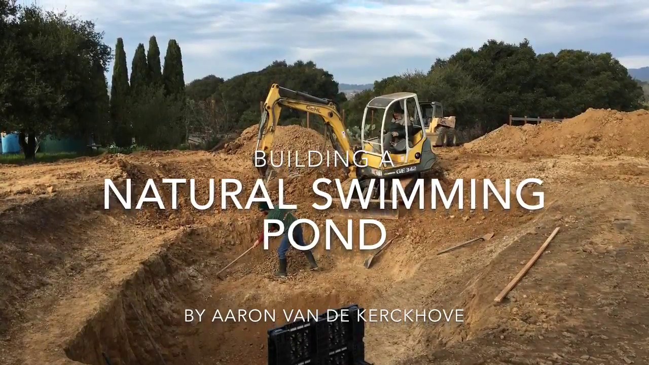 Natural Swimming Pond Start to Finish