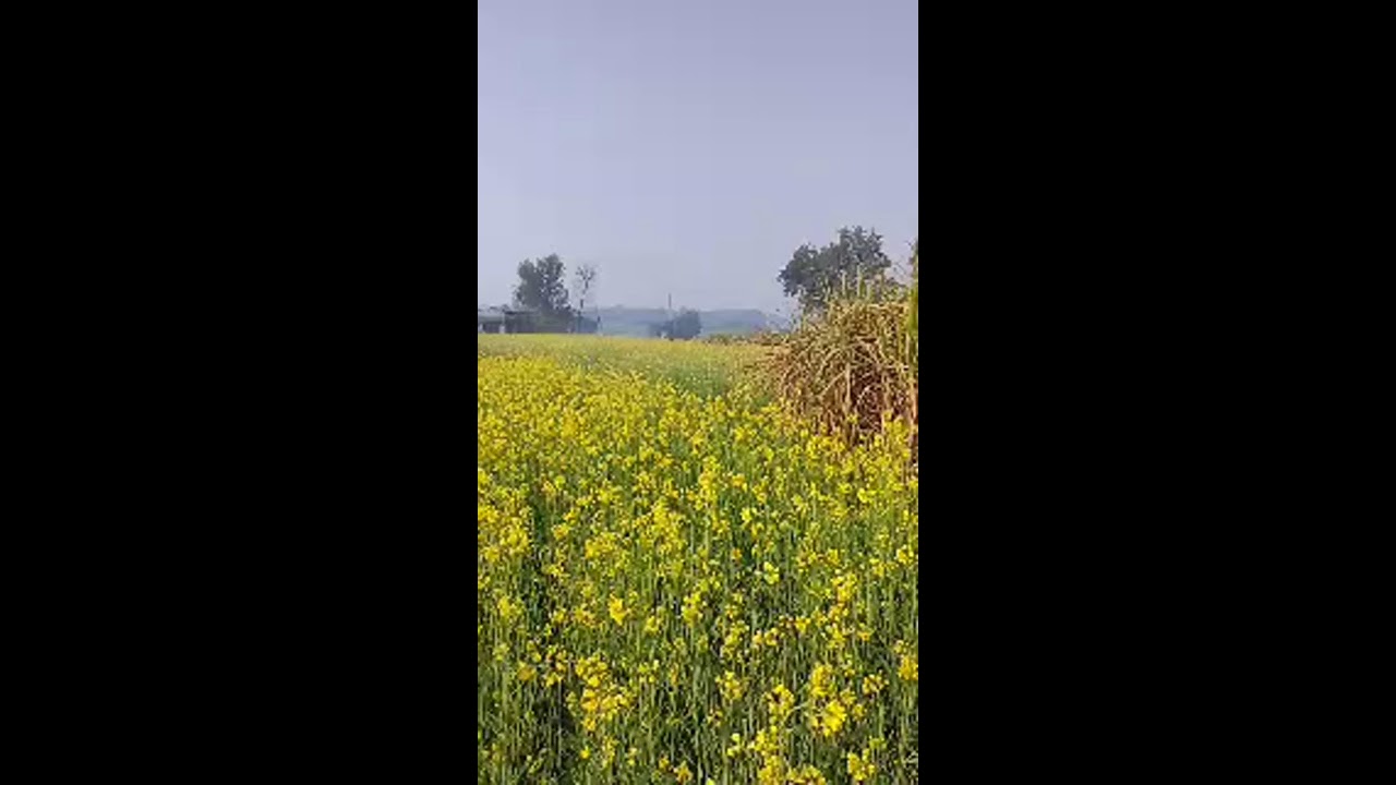Bhakti inverse bhakti