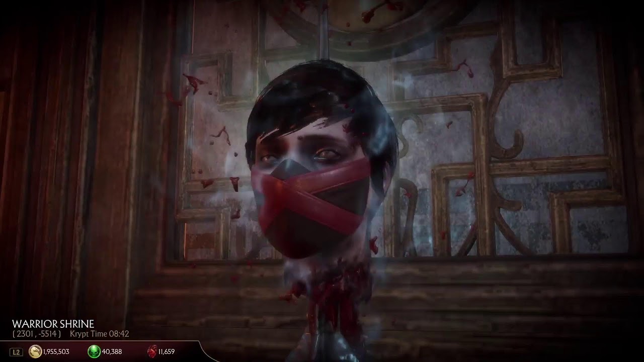 Playing Mk11