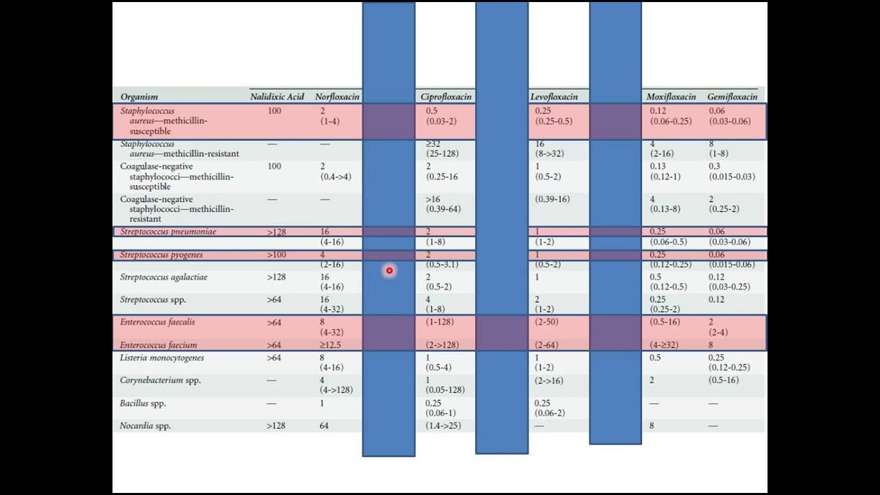 Farmacologia em Antibi&oacute;ticos - Quinolonas (apenas slides)