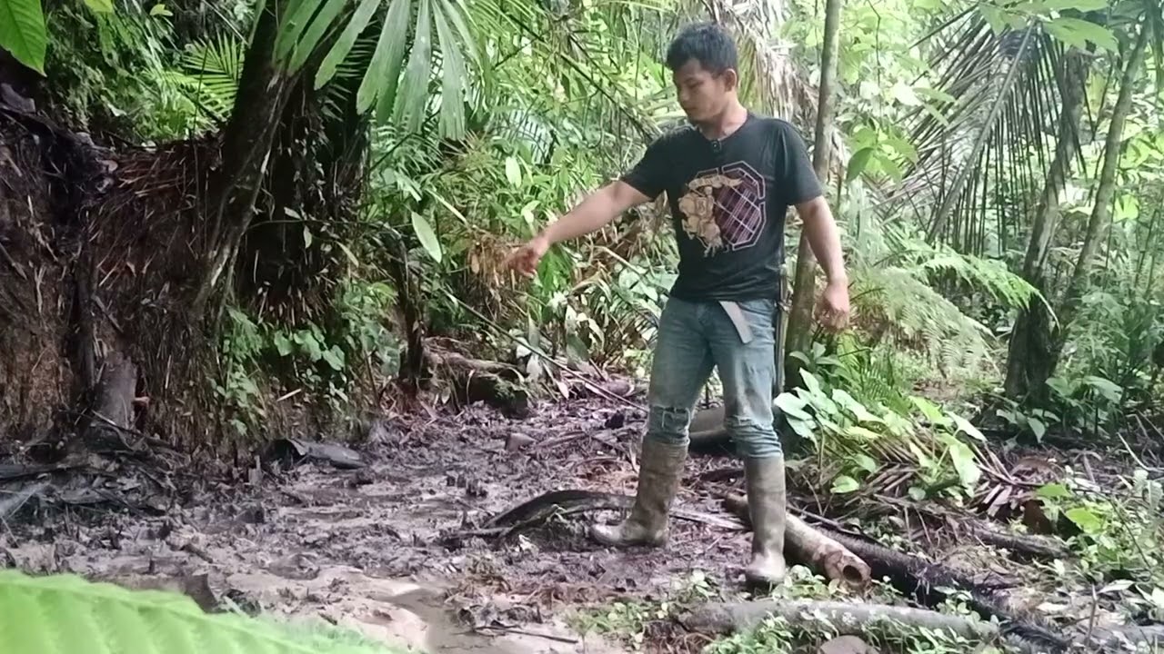 CARA PEMASANGAN AIR BAMBU UNTUK MINUM KIJANG DAN RUSA DI HUTAN