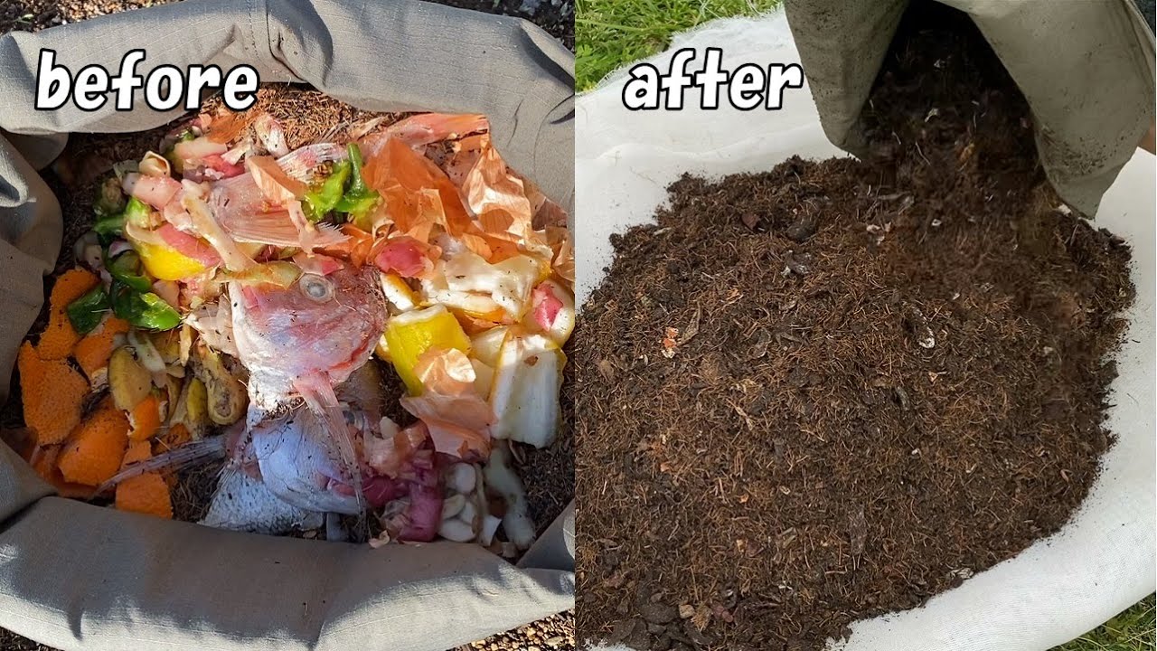 Как сделать компост из кухонных отходов, который хорошо выращивает растения