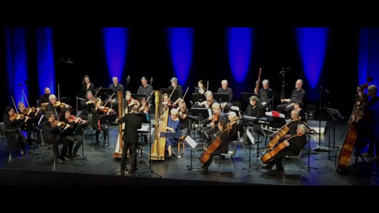 A. Vivaldi : Concerto pour 2 mandolines RV 532, 2e mouvement (Andante). Version pour 2 harpes