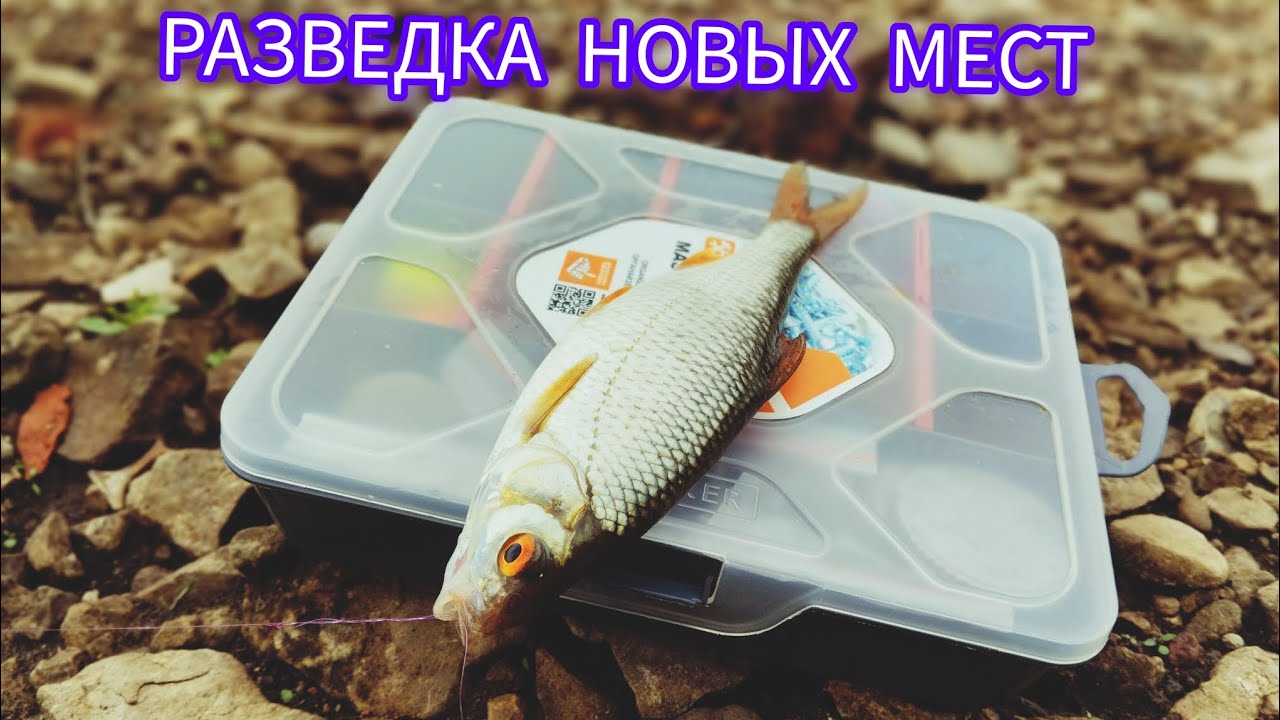ДРОП-ШОТ, МИКРОДЖИГ. НОВЫЕ МЕСТА
