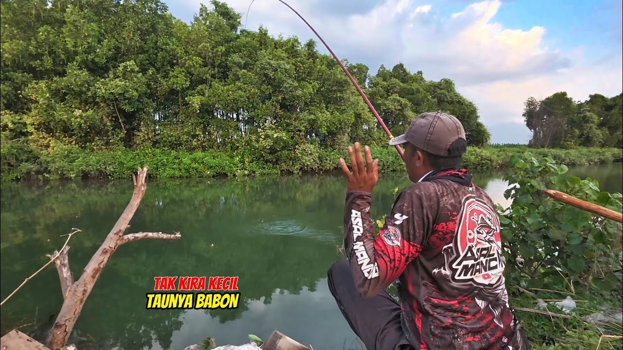 SAYA KIRA KECIL KECIL DISINI IKAN NYA,SETELAH DI PANCINGI BABON NYA NAIK