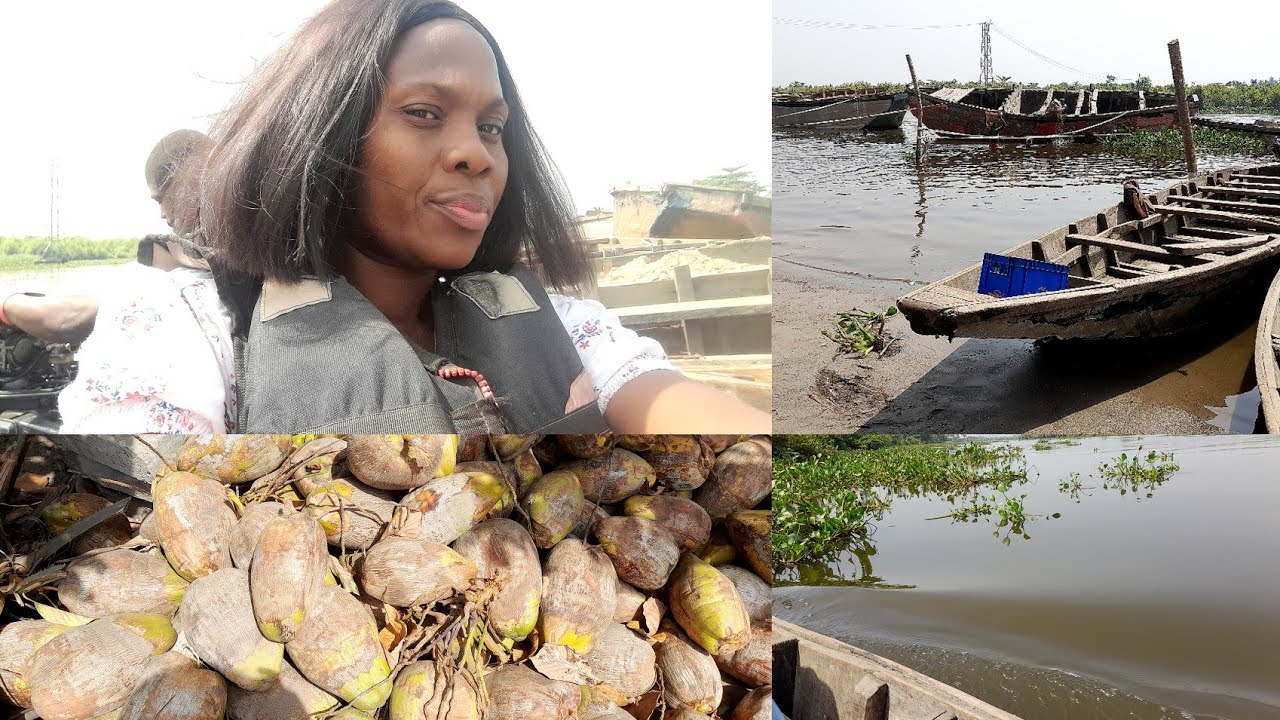How To Choose The Right Coconut || Coconut village in Lagos