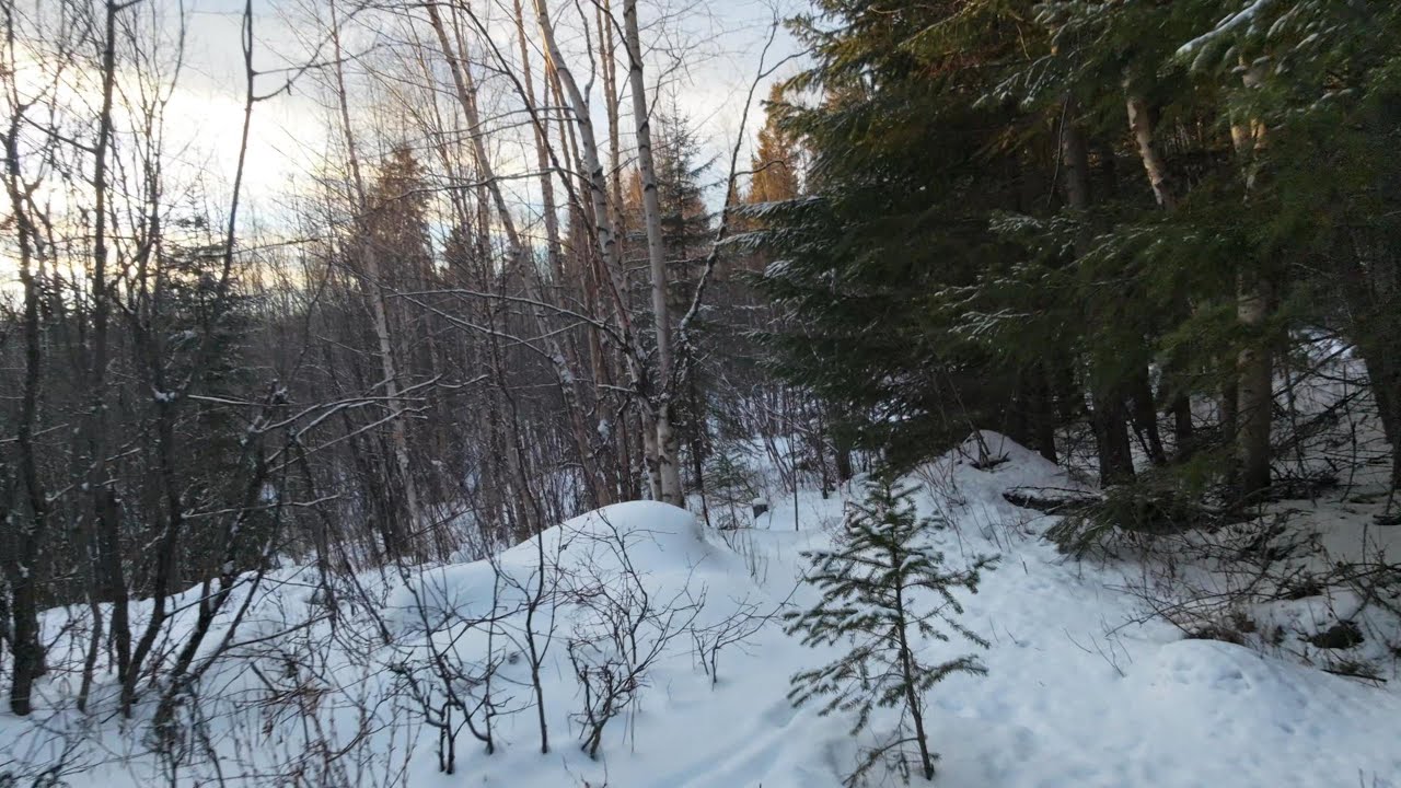 Flight Vlog #33 - Unlocking a new course for speed laps in the forest (@ the cabin) - DJI NEO2