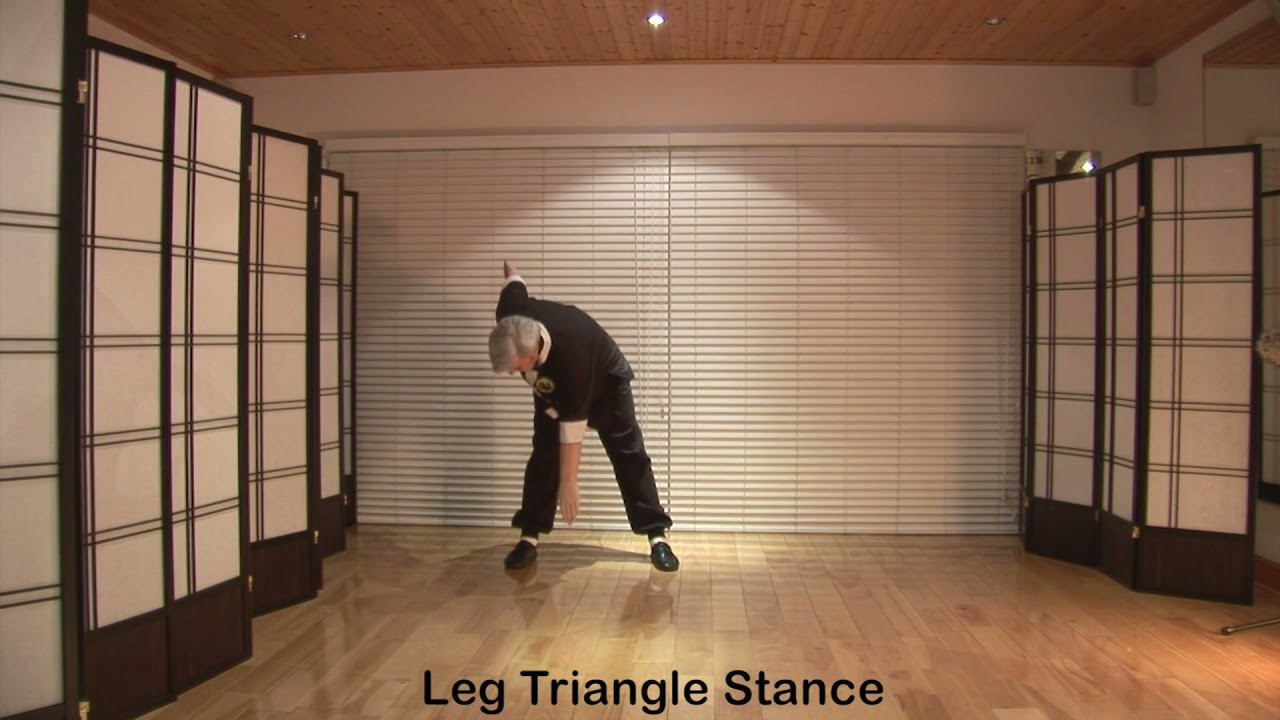 Lee Style Tai Chi