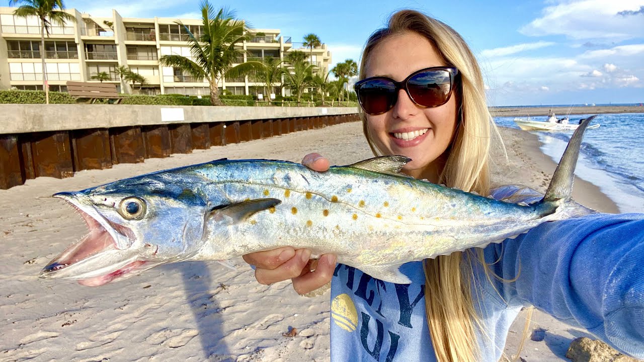 Mackerel CATCH, CLEAN & COOK Holiday Fish Dip! Bonus SNIPE HUNT!