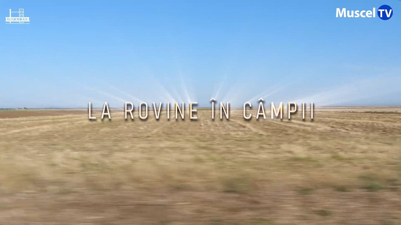 ENIGMELE ȘI MISTERELE ROMÂNIEI -  La Rovine în Câmpii