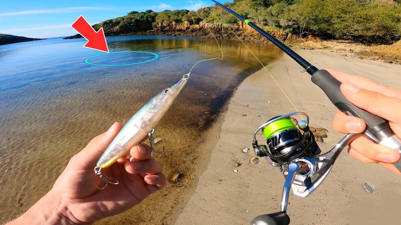 Le poisson que j'attendais est enfin l&agrave; ! (P&ecirc;che au leurre du bord en mer)