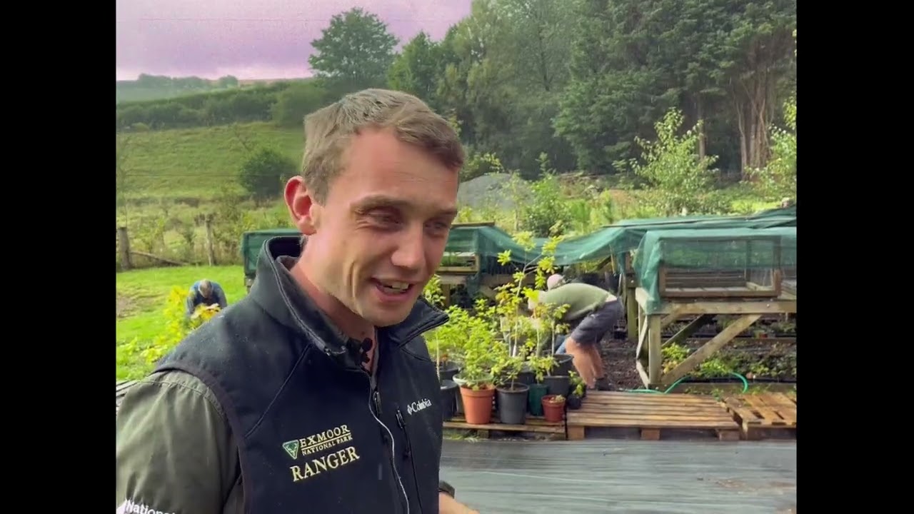 Volunteering in the Exmoor National Park tree nursery