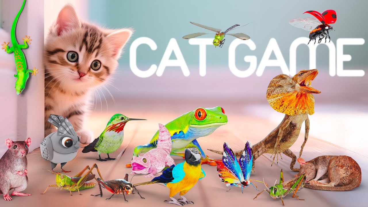 CAT GAMES 🐾3D Game for Cats to Watch &ndash; Ultimate CAT TV with Birds, Mice & More! 😻 4K60FPS