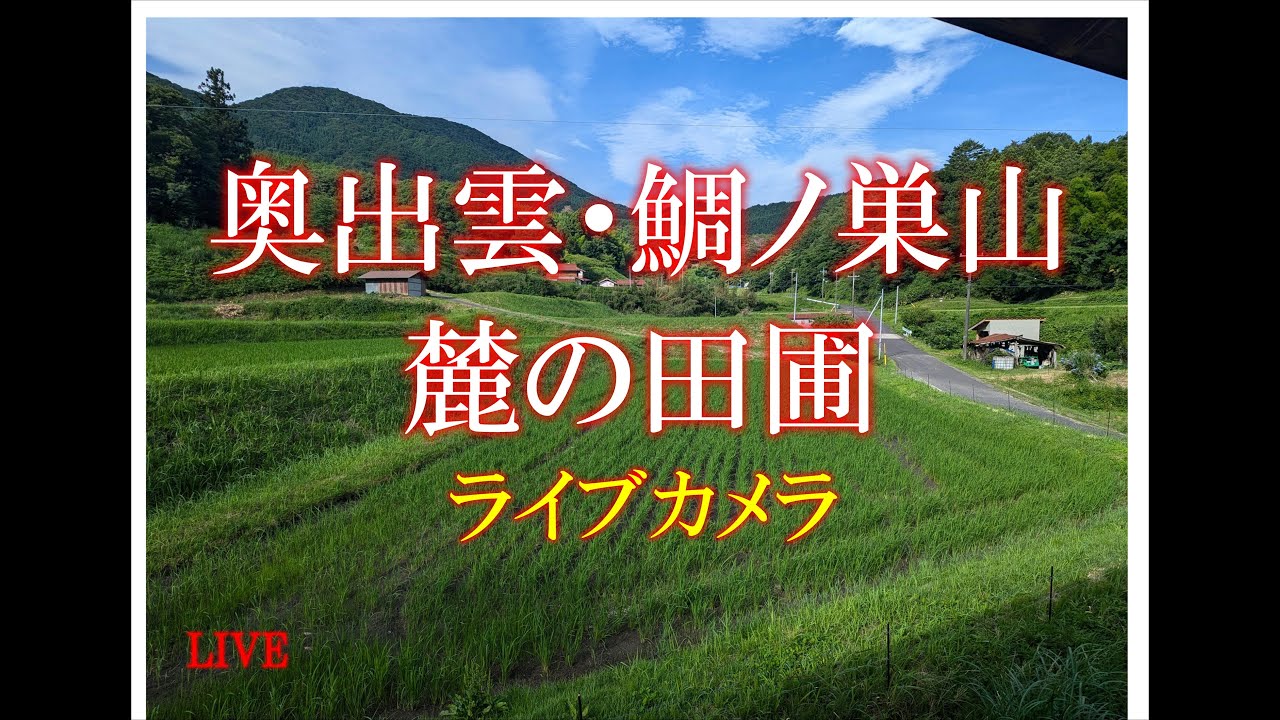 ☆鯛ノ巣山NOW☆　奥出雲の山と田んぼライブカメラ　今日はどげかいな？　＃さとる米　＃仁多米　＃島根県　＃奥出雲　＃たいのす　＃鯛ノ巣山　＃ライブカメラ