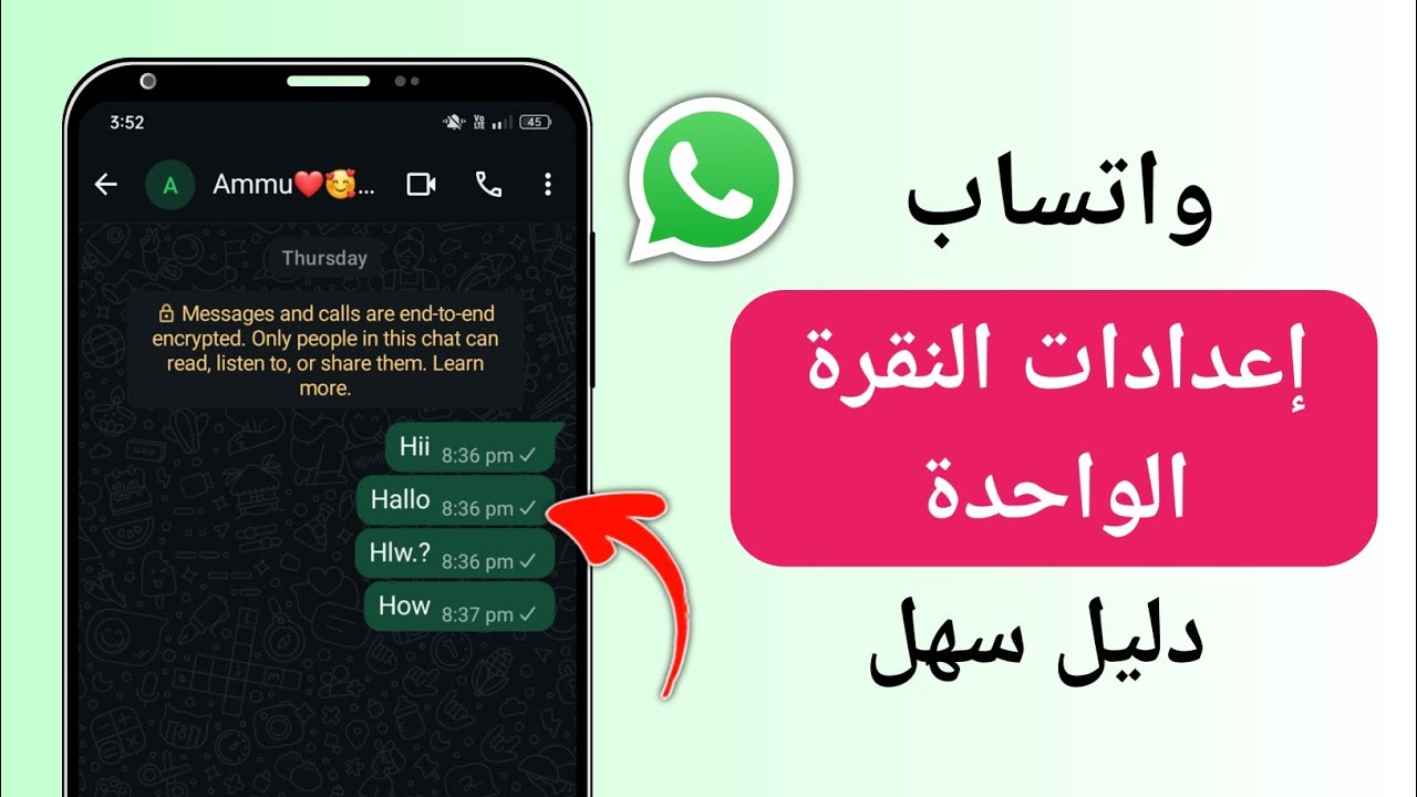 إعدادات علامة صح واحدة في واتساب | كيفية الحصول على علامة صح واحدة في واتساب (دليل 2026)