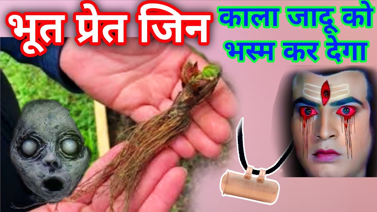 भूत किसी भी कोने में छुपा हो भूत दुम दबाकर भागेगा, साधारण पौधा समझकर फेकने की भूल मत करना// Vastu