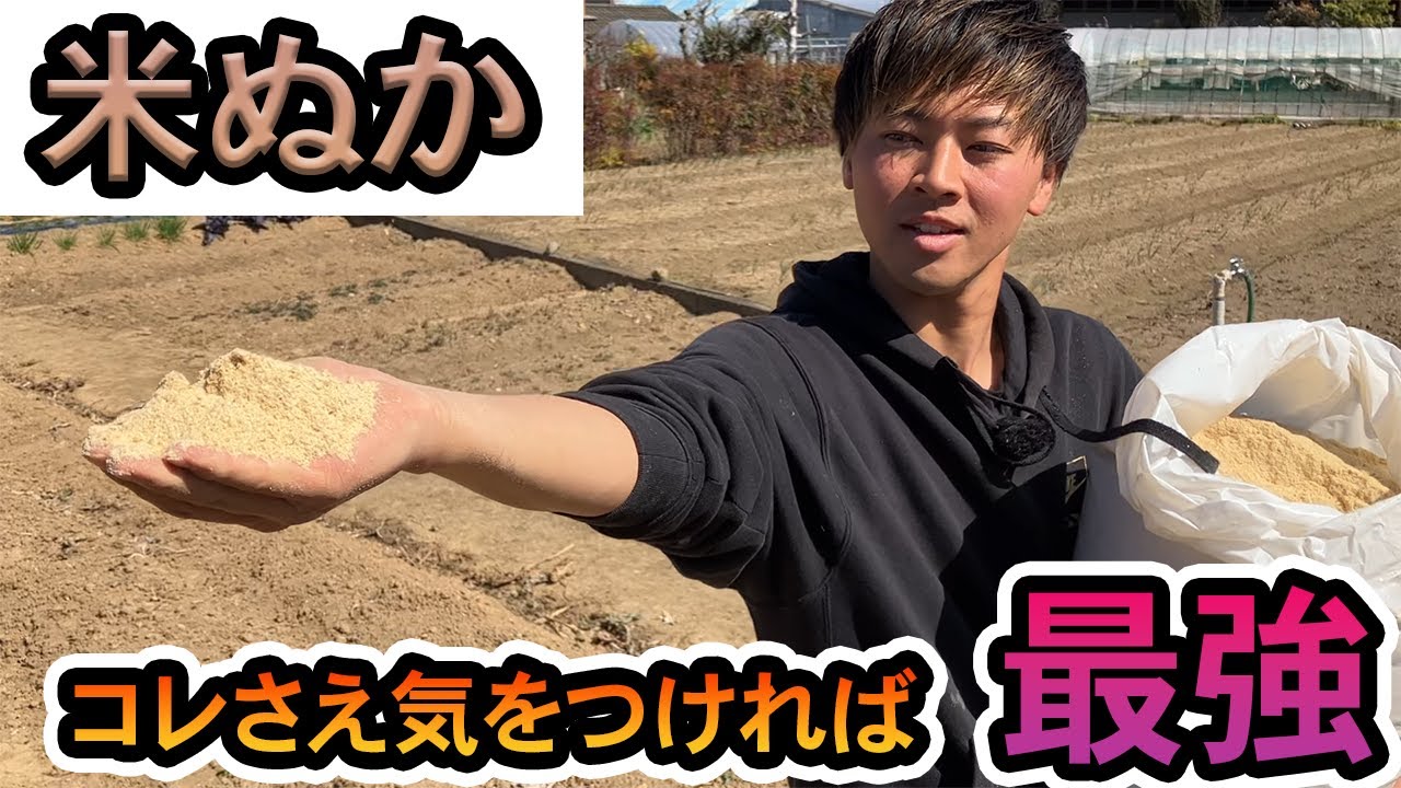 【米ぬか】の使い方。メリットデメリットとは？徹底解説
