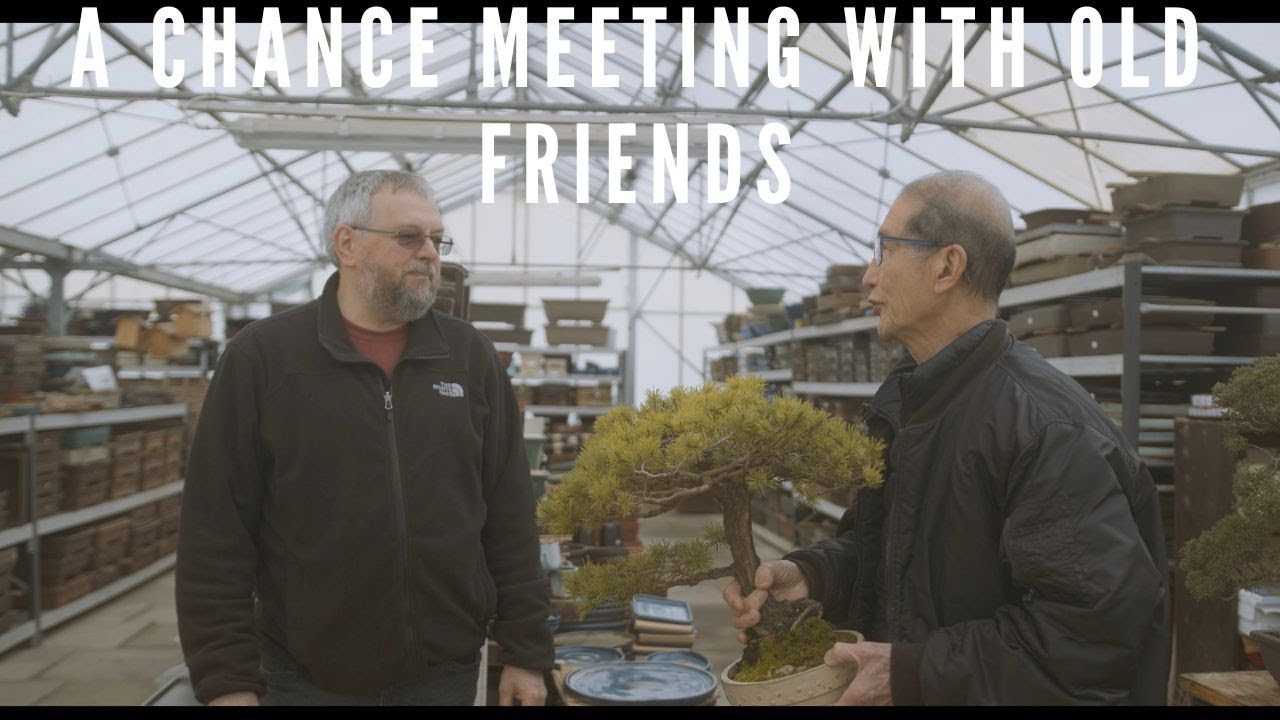 A Chance Meeting - Video by Santiago & Matt