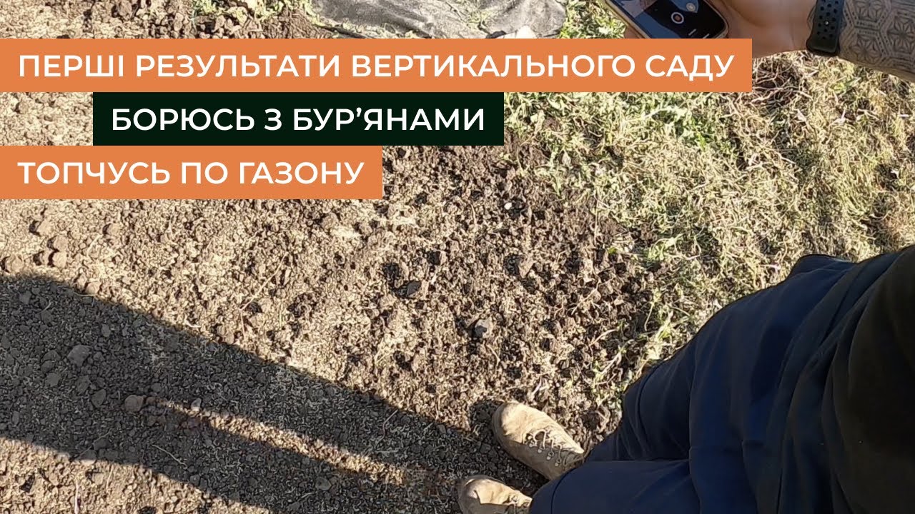 Борюсь з бур'янами: висадка газонної трави, мульчування скошеною травою. Вертикальний сад