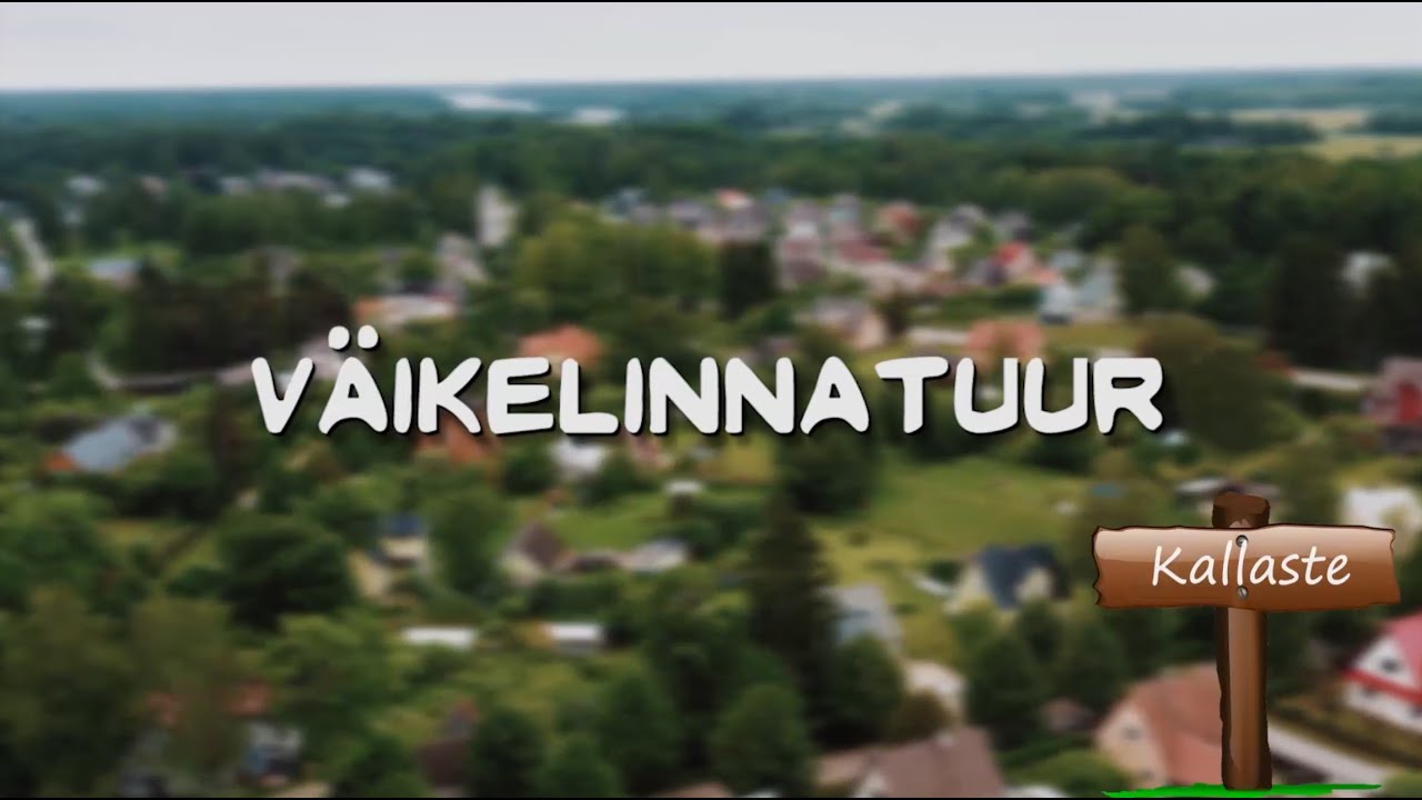 VÄIKELINNATUUR: milleks sõita mere äärde, kui lainetes hullata saab ka Kallastel!