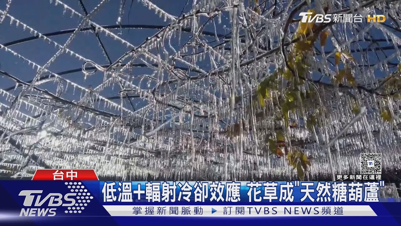清晨0.2度 武陵農場現「夢幻冰晶廉」美景｜TVBS新聞 @TVBSNEWS01