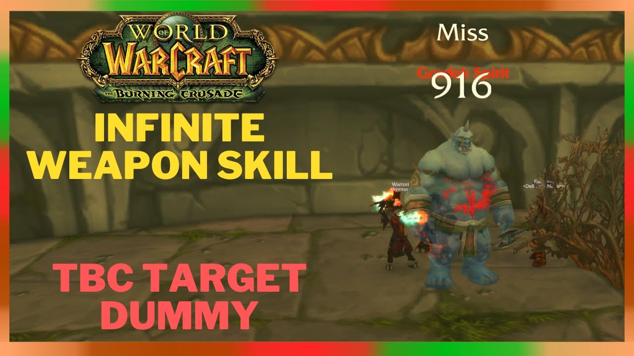 WoW Classic TBC: Infinite Weapon Skill and Target Dummy DMN Treasure Run