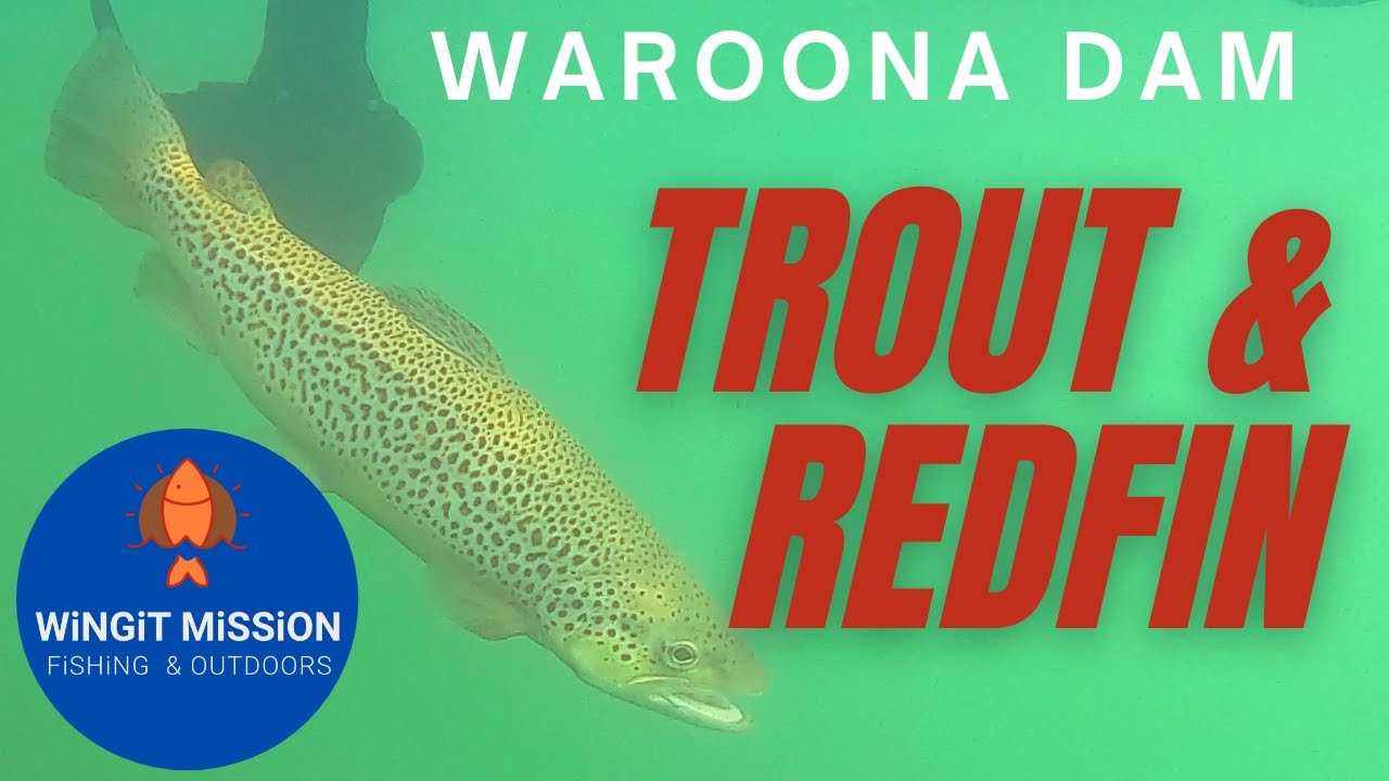 WAROONA DAM - TROUT FISHING - WESTERN AUSTRALIA