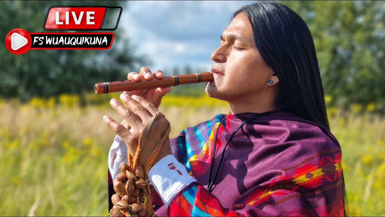 Live Performance 