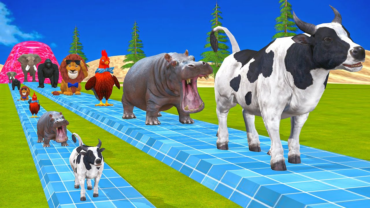 Long Slide Game With Elephant Gorilla Buffalo Hippopotamus Tiger 3d Animal Game Funny 3d Animals