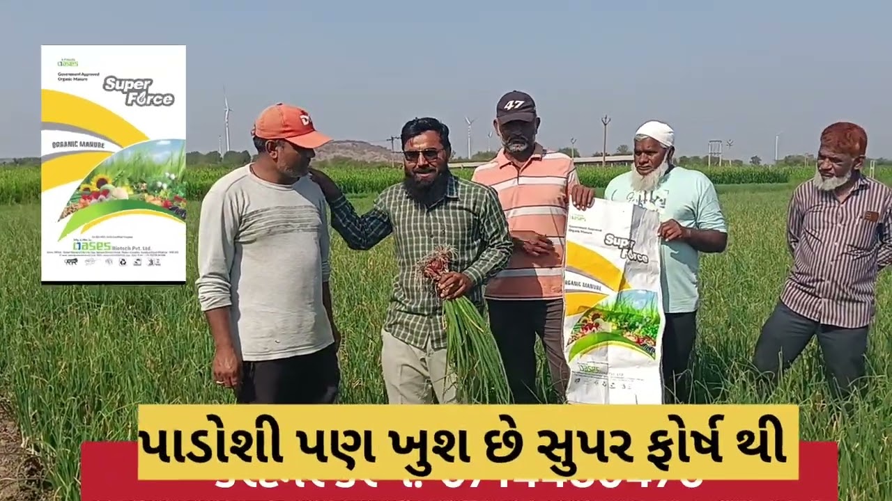 SUPER FORSH KHATAR (શાકભાજી માં ઉત્તમ માં ઉત્તમ પાક એવો ડુંગરી નો પાક તીખી મીઠી ખેતી.. 9714480476