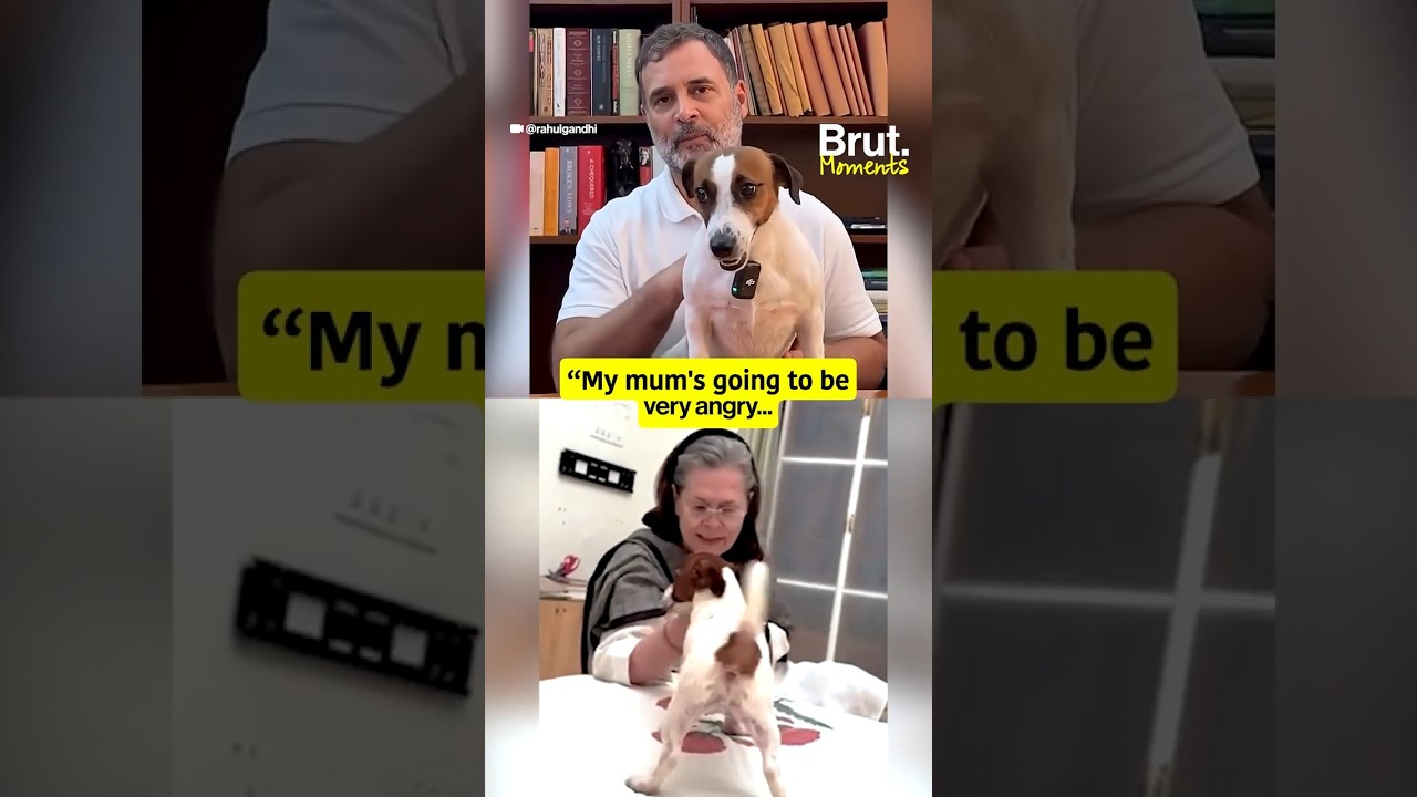 Неожиданный гость перетянул всё внимание на себя во время AMA-сессии RaGa👀