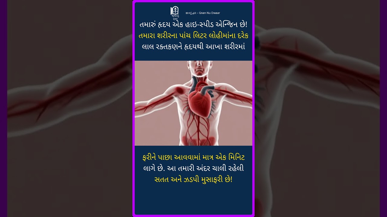 60 સેકન્ડની રક્ત દોડ! | The 60-Second Blood Sprint