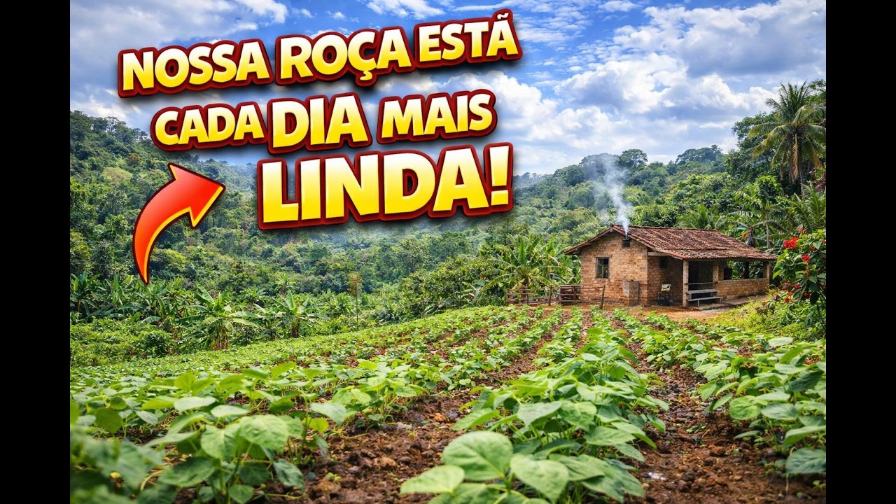 Nossa Roça Está Cada Dia Mais Bonita!