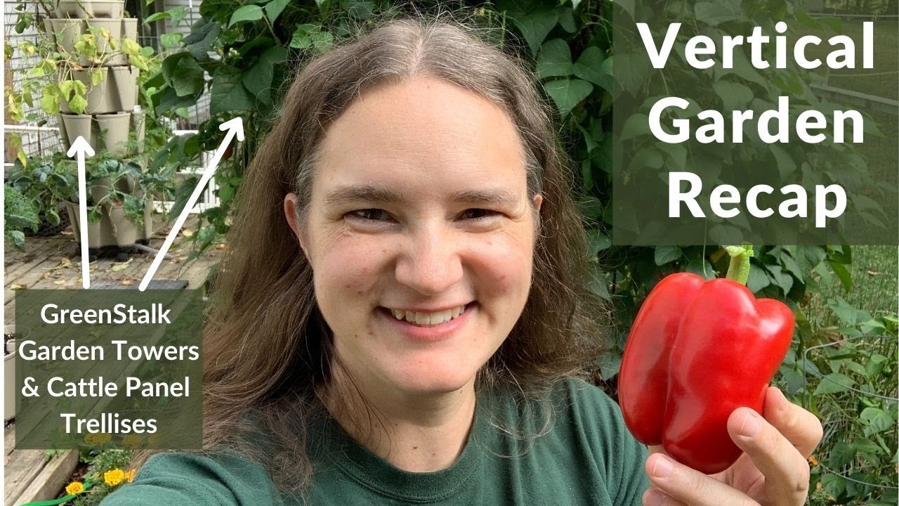 GreenStalk towers, cattle panel trellises, final garden tour of 2021